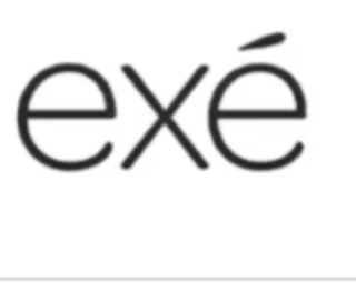exe logo
