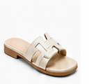Slides